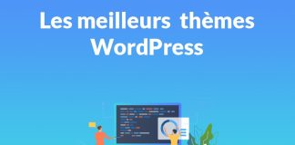 Le Guide Ultime des Meilleurs Themes WordPress en 2024